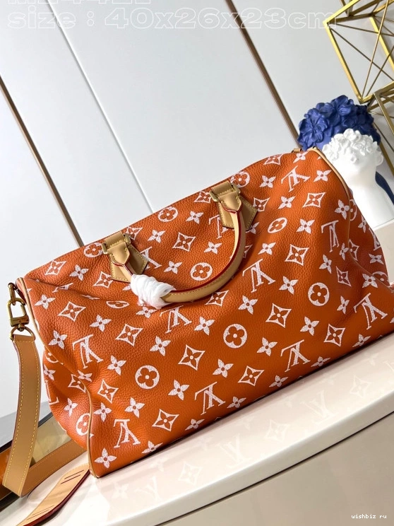 WIS SPEEDY Louis Vuitton 40 0307